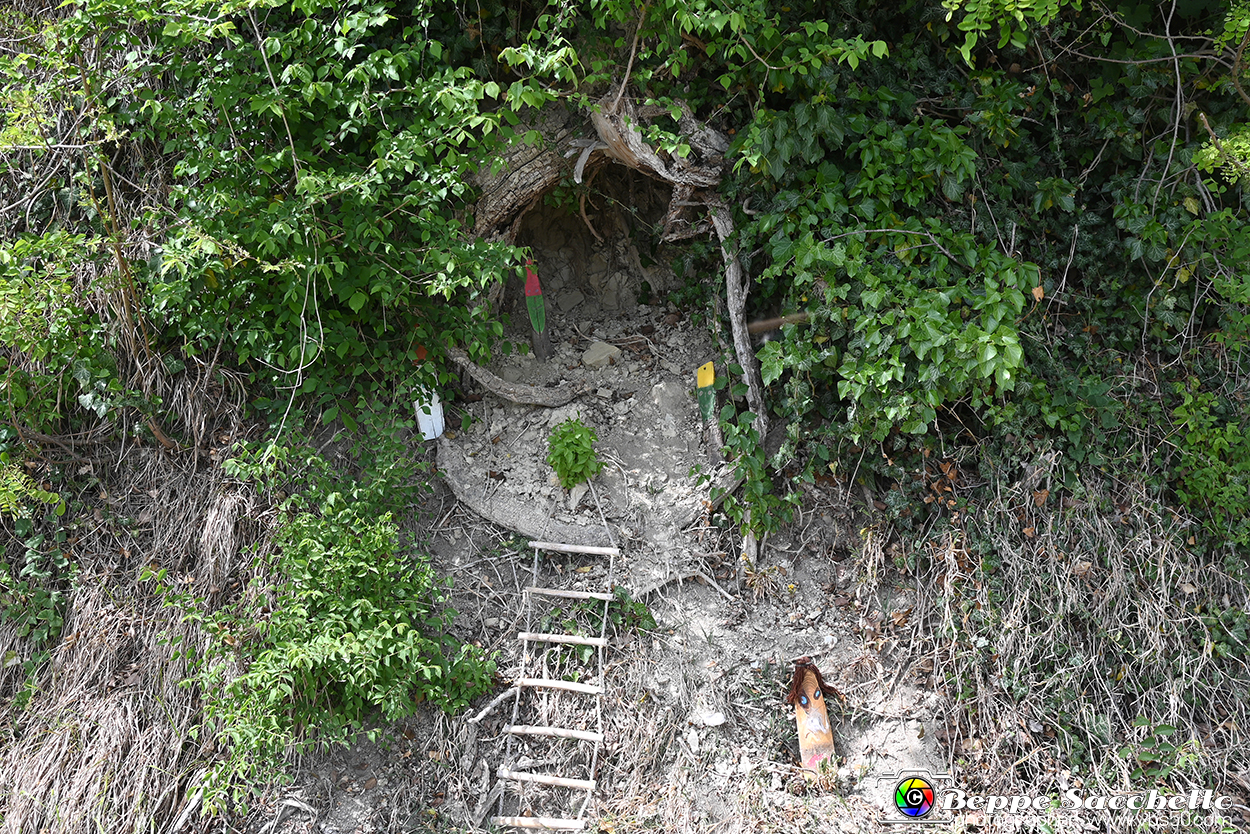 VBS_3122 - Mango (Cuneo) - Gnomovia.jpg